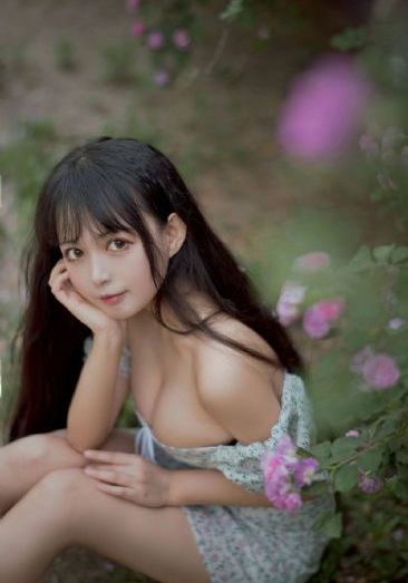 犀利仁师_国产剧免费电视剧