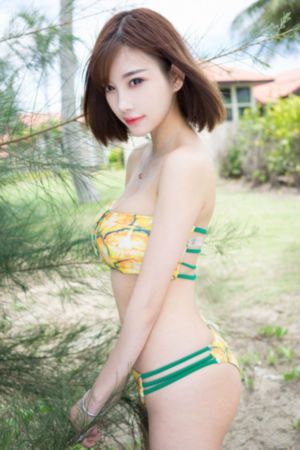 熊出没100集免费观看_1080P在线播放观看
